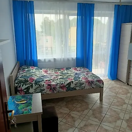 Guest house Magnolia 3*