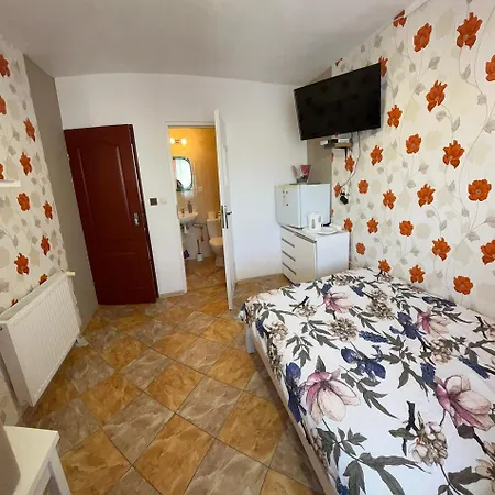 Guest house Hornet 3*